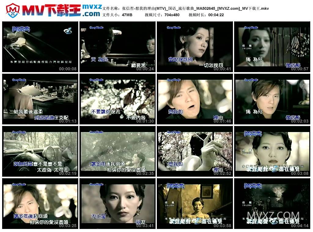 张信哲-想我的理由(MTV)_国语_流行歌曲_MA502645